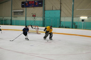 Goalie Clearing Attempt